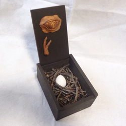 0_00f4972a980ca03eabea90feda65