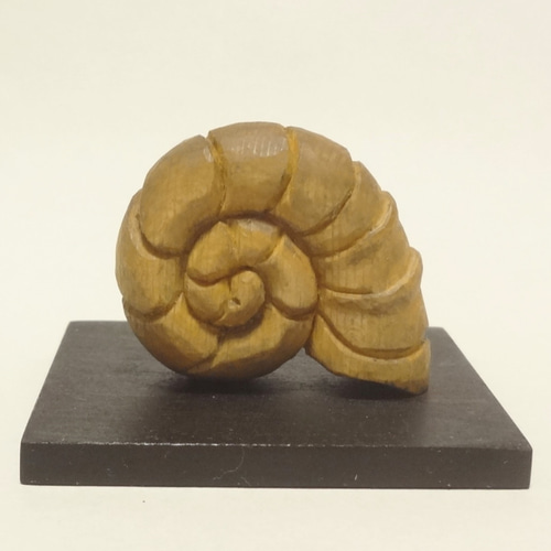 アンモナイト化石の置物 木彫刻 小さな置物 『 アンモナイトの夢 』 木彫り アンモナイト 化石