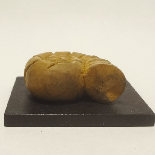 木彫刻 小さな置物 『 アンモナイトの夢 』 木彫り アンモナイト 化石