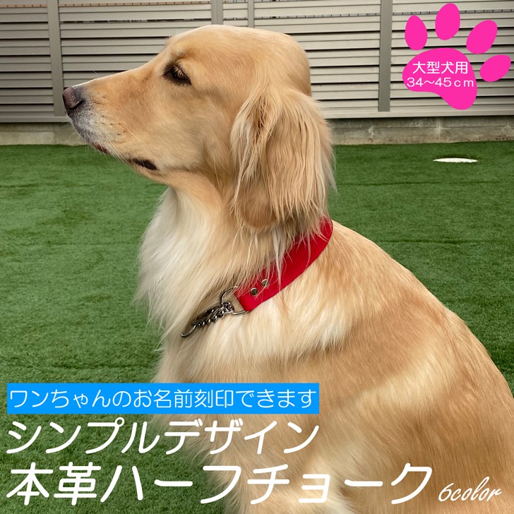 名入れ可 大型犬 ハーフチョーク シンプルデザイン 首輪 レザー