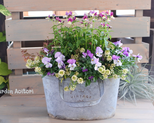 1_4f2e1e009c45ec8262042c640d94