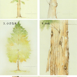 ポストカード・樹木シリーズ　5枚セット　他の組合せも可 1枚目の画像