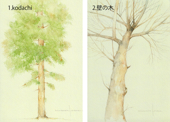 ポストカード・樹木シリーズ　5枚セット　他の組合せも可 2枚目の画像