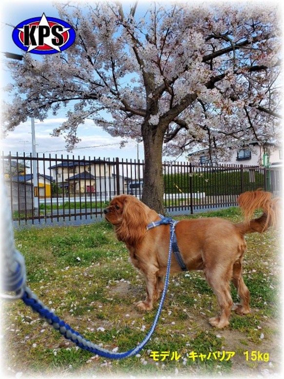 既製品　ドッグリード　パラコード　小型　中型犬　散歩　ハンドメイド　アクセサリー付　カラー：ピンク×ブラウン 9枚目の画像