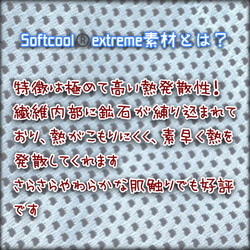 【受注製作】夏用マスク★大人標準サイズ★シンプル☆接触冷感の立体マスク1枚★メンズ・レディース兼用 5枚目の画像