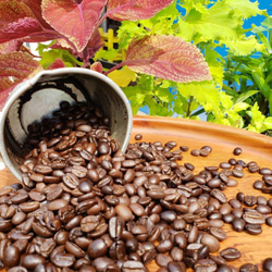 自家焙煎【大切な人への贈り物にも】コーヒー豆(粉)２００ｇｘ２　 1枚目の画像
