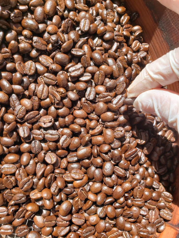 自家焙煎【大切な人への贈り物にも】コーヒー豆(粉)２００ｇｘ２　 6枚目の画像