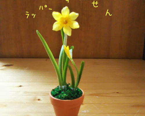 水仙の黄色の花はラッパーパー 足もとの袴は「本物みたいシリーズ」の