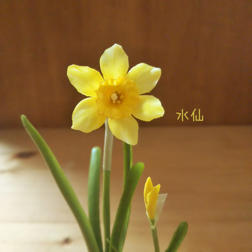 水仙の黄色の花はラッパーパー 足もとの袴は「本物みたいシリーズ」の