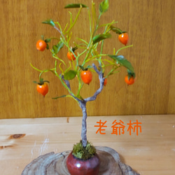 柿色手作り鉢 と 老爺柿 盆栽粘土アート 1枚目の画像