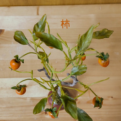 柿色手作り鉢 と 老爺柿 盆栽粘土アート 2枚目の画像