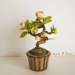 桃太郎木瓜 キャメル鉢  創作盆栽 粘土アート 3枚目の画像