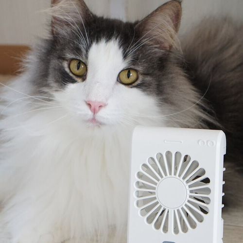 うちの子ミラー付きハンディ扇風機│犬 猫 モバイルファン うち