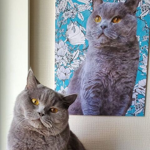 ねこのきもち掲載商品】うちの子 花柄アート ポスター