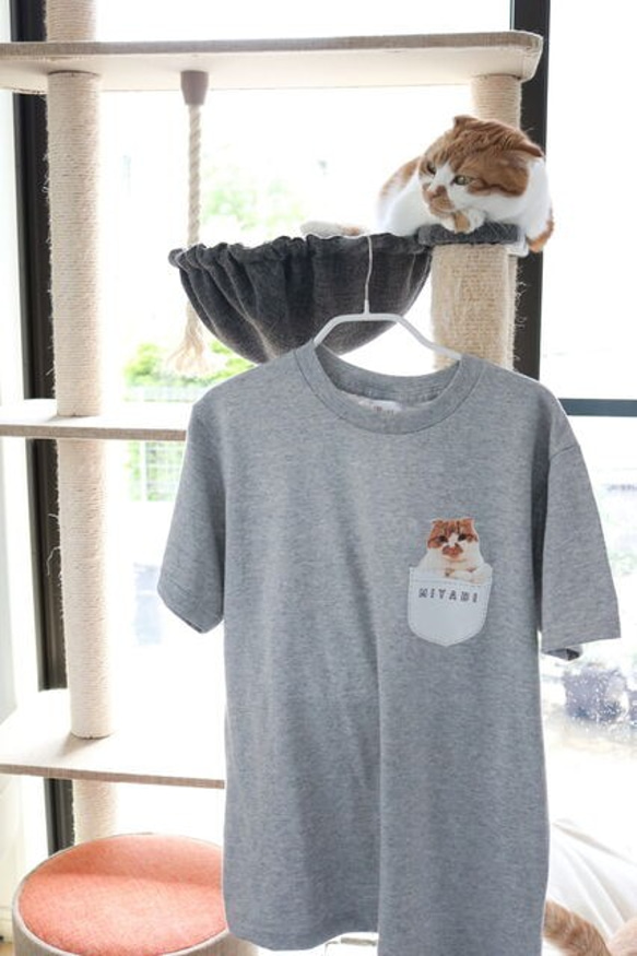 "うちの子" ポケット Tシャツ │犬 猫 ネコ 1枚目の画像