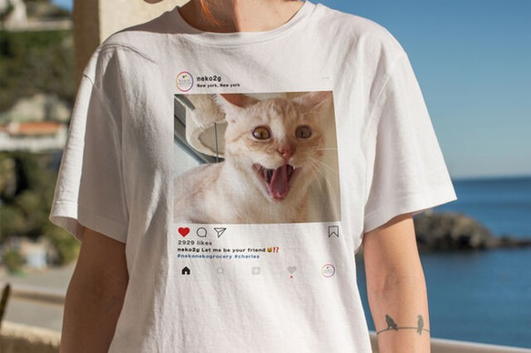 COOL CATS サッカーシャツ M 22番 COOL CATS サッカーシャツ M 22番