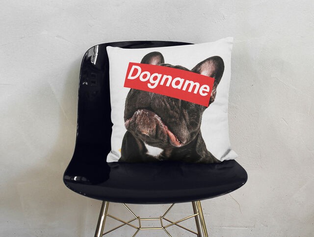 うちの子写真でオリジナルクッション│犬 猫 ペット