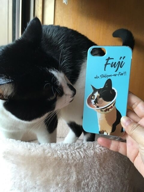 ペットのお写真で作るポップアート スマホケース│犬 猫 iPhone 4枚目の画像