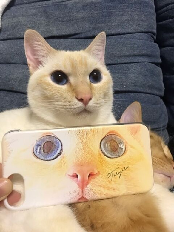 うちの子 ドアップ イラストスマホケース│犬 猫 3枚目の画像