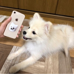 うちの子イラスト クリアケース│犬 猫 iPhone 4枚目の画像