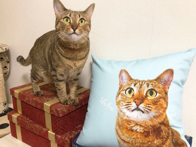 うちの子 水彩画 似顔絵 猫クッション│ネコ イラスト