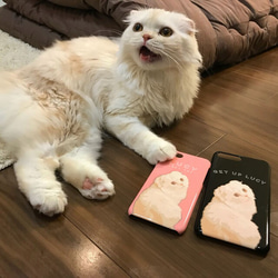 飼い猫の写真で作る うちの子スマホケース│ネコ 4枚目の画像