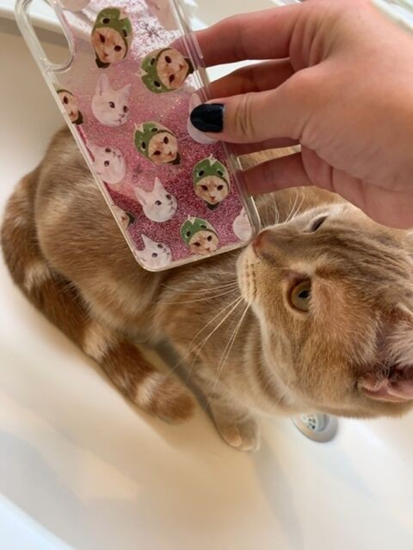 ペットの写真で！グリッター イラストiPhoneケース│猫 犬 2枚目の画像