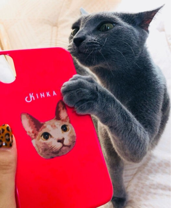 ペットのお写真で作るイラストおしゃれスマホケース│犬 猫 5枚目の画像