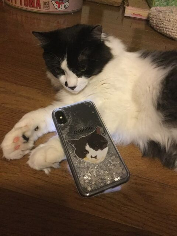 ペットのお写真で作るイラストおしゃれスマホケース│犬 猫 4枚目の画像