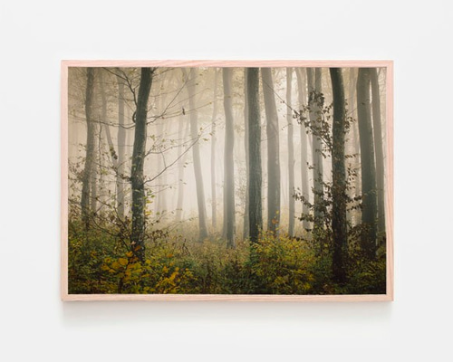 0_6cb84851d50a98472953350eba85