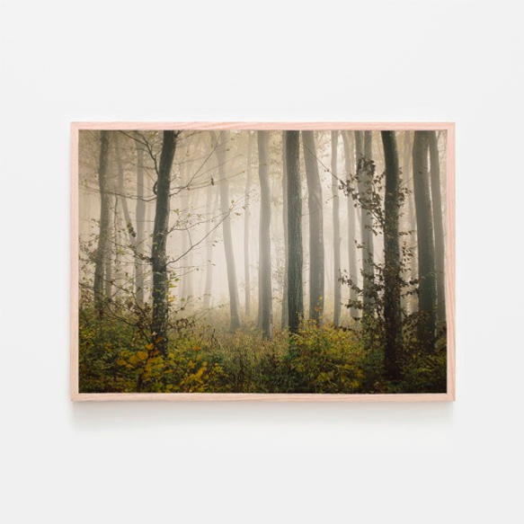 霧に包まれた秋の森 / アートポスター 風景写真 forest 黄色の葉 枯れ葉 落葉 落ち葉 白黒 カラー 横長 1枚目の画像