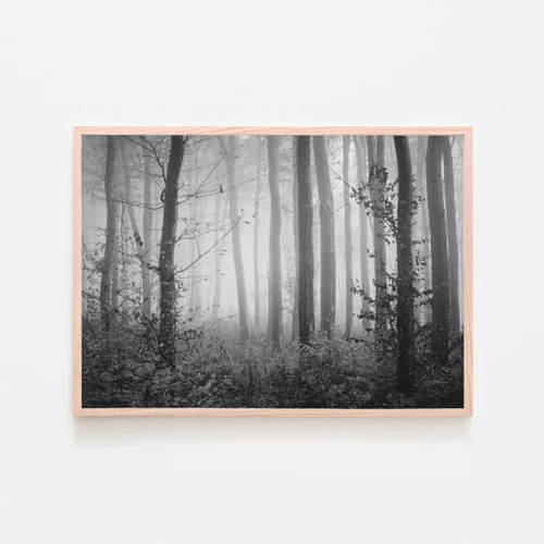 霧に包まれた秋の森 / アートポスター 風景写真 forest 黄色の葉