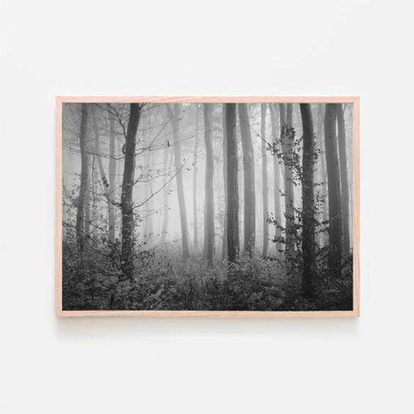 霧に包まれた秋の森 / アートポスター 風景写真 forest 黄色の葉 枯れ葉 落葉 落ち葉 白黒 カラー 横長 7枚目の画像