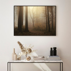 森の中の朝の陽射し / アートポスター 風景写真 forest 霧 黄葉 枯れ葉 落葉 落ち葉 横長 白黒 カラー 3枚目の画像