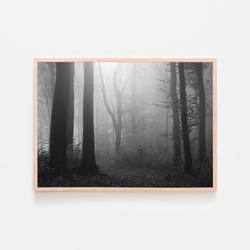森の中の朝の陽射し / アートポスター 風景写真 forest 霧 黄葉 枯れ葉 落葉 落ち葉 横長 白黒 カラー 4枚目の画像