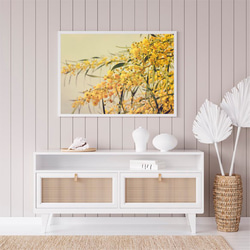 ミモザ / アートポスター 黄色の花 写真 アカシア カラー アートプリント 横向き 自然 フラワー 2枚目の画像