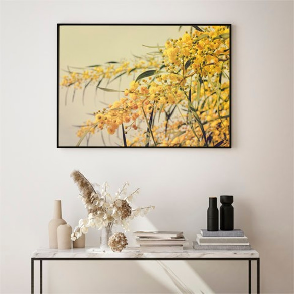 ミモザ / アートポスター 黄色の花 写真 アカシア カラー アートプリント 横向き 自然 フラワー 3枚目の画像
