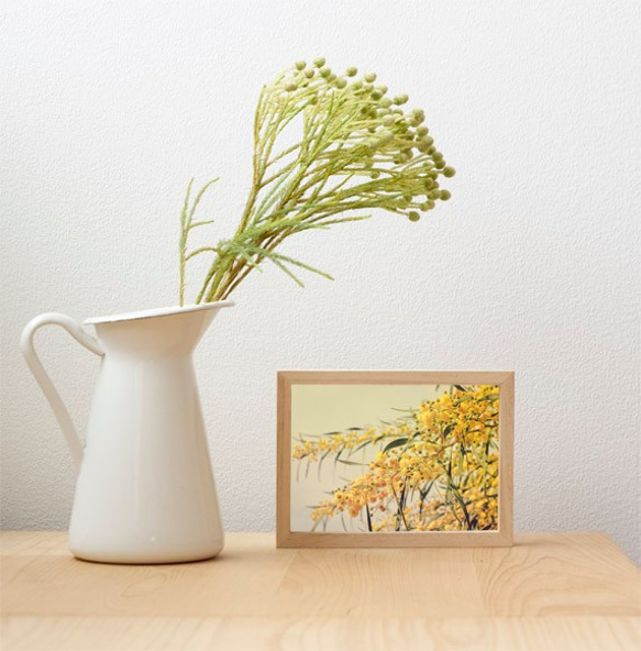 ミモザ / アートポスター 黄色の花 写真 アカシア カラー アートプリント 横向き 自然 フラワー 5枚目の画像