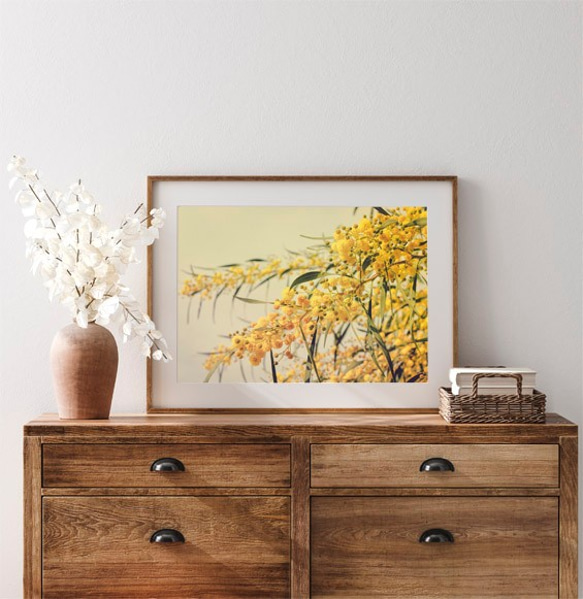 ミモザ / アートポスター 黄色の花 写真 アカシア カラー アートプリント 横向き 自然 フラワー 6枚目の画像