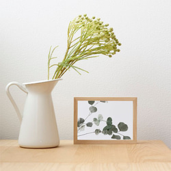 ユーカリ / アートポスター 植物 写真 カラー 白黒 アートプリント 横向き 自然 観葉植物 3枚目の画像