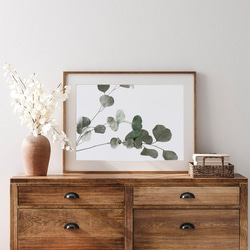 ユーカリ / アートポスター 植物 写真 カラー 白黒 アートプリント 横向き 自然 観葉植物 4枚目の画像