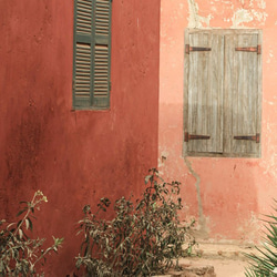 セネガル、ゴレ島の小さな通り道 / アートポスター 風景写真 インテリア 縦長 自然 建物 テラコッタ 植物 草 花 5枚目の画像