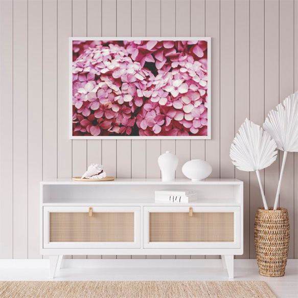 ピンク色のアジサイ / アートポスター 写真 カラー 白黒 アートプリント 横長 自然 花 フラワー 紫陽花 梅雨 2枚目の画像