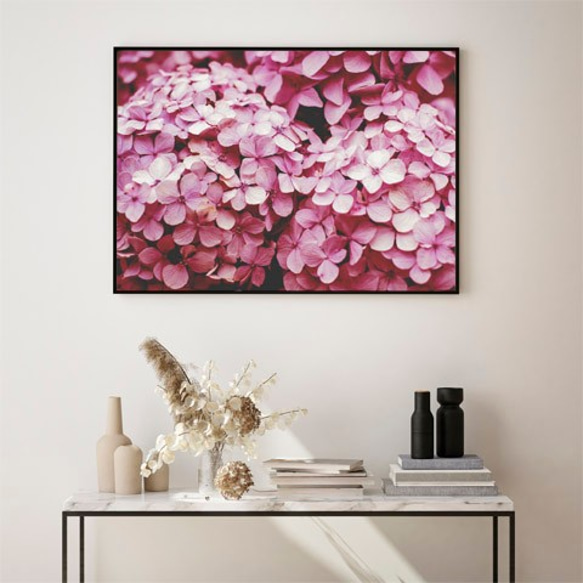 ピンク色のアジサイ / アートポスター 写真 カラー 白黒 アートプリント 横長 自然 花 フラワー 紫陽花 梅雨 3枚目の画像