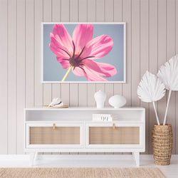 ピンク色の花 / アートポスター 写真 カラー アートプリント 横長 自然 花 フラワー ピンク 花びら 2枚目の画像