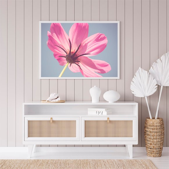 ピンク色の花 / アートポスター 写真 カラー アートプリント 横長 自然 花 フラワー ピンク 花びら 2枚目の画像