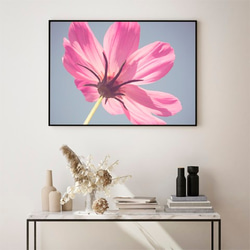 ピンク色の花 / アートポスター 写真 カラー アートプリント 横長 自然 花 フラワー ピンク 花びら 3枚目の画像