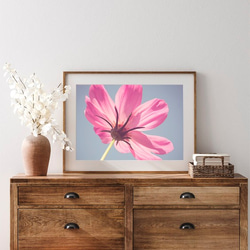 ピンク色の花 / アートポスター 写真 カラー アートプリント 横長 自然 花 フラワー ピンク 花びら 5枚目の画像