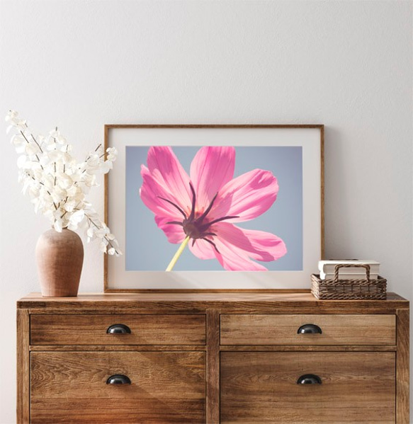 ピンク色の花 / アートポスター 写真 カラー アートプリント 横長 自然 花 フラワー ピンク 花びら 5枚目の画像