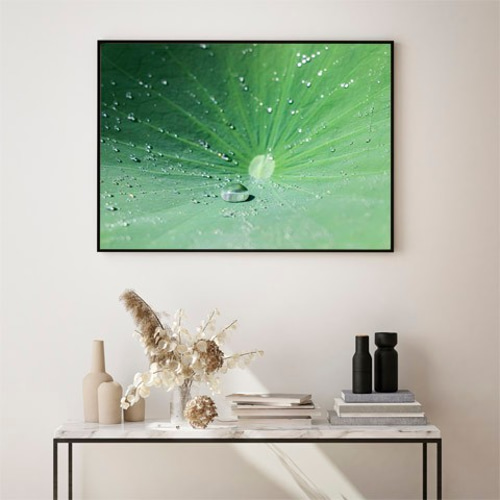 蓮の葉の上の雫 / アートポスター 写真 植物 カラー 白黒 グリーン